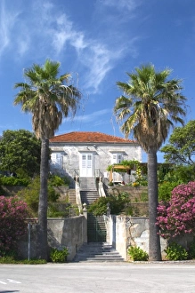 Images Dated 8th July 2006: Beach house with garden framed by two big palm trees. Orebic town, holiday resort
