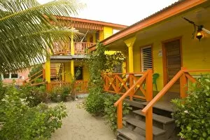 Beach houses and palm tree, Placencia, Stann Creek District, Belize, Central America