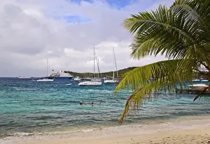 Palm Frond Prints: On the beach at Oceans Seven Beach Club, Peter Island British Virgin Islands