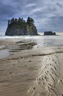 Natural Beauty Prints: Beach. Olympic National Park, Washington, US