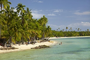 Fiji Prints: Beach, palm trees and beachfront bures, Plantation Island Resort, Malolo Lailai Island