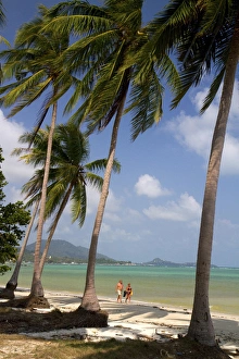 Paradise Prints: Beach with palm trees and the Gulf of Thailand on the island of Ko Samui, Thailand