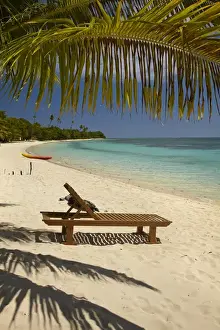 Fiji Prints: Beach, palm trees and lounger, Plantation Island Resort
