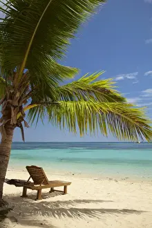 Images Dated 22nd October 2011: Beach, palm trees and lounger, Plantation Island Resort