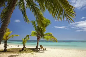 Images Dated 22nd October 2011: Beach, palm trees and lounger, Plantation Island Resort