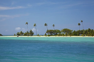 Lagoon Prints: Beach and palm trees by Musket Cove Island Resort, Malolo Lailai Island, Mamanuca Islands