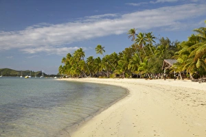 Images Dated 21st October 2011: Beach and palm trees, Plantation Island Resort, Malolo Lailai Island, Mamanuca Islands