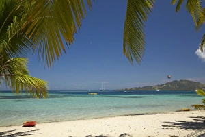 Images Dated 20th October 2011: Beach and palm trees, Plantation Island Resort, Malolo Lailai Island, Mamanuca Islands