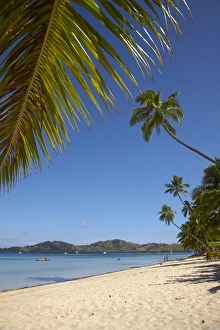 Images Dated 20th October 2011: Beach and palm trees, Plantation Island Resort, Malolo Lailai Island, Mamanuca Islands