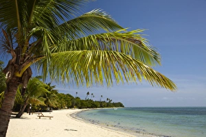 Images Dated 21st October 2011: Beach and palm trees, Plantation Island Resort, Malolo Lailai Island, Mamanuca Islands