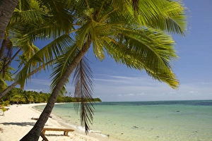 Images Dated 21st October 2011: Beach and palm trees, Plantation Island Resort, Malolo Lailai Island, Mamanuca Islands