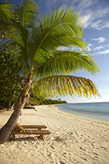Images Dated 21st October 2011: Beach and palm trees, Plantation Island Resort, Malolo Lailai Island, Mamanuca Islands