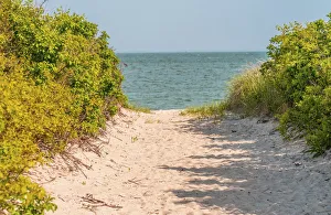 Path Prints: Beach path through trees. Padanaram, Dartmouth, Massachusetts