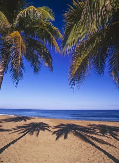 Images Dated 16th October 2017: Beach of the Peak, Puerto Rico. Palm trees and their shadows on beach