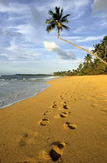 Beach Puerto Rico