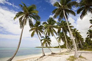 Hispaniola Prints: Beach at Punta Cana