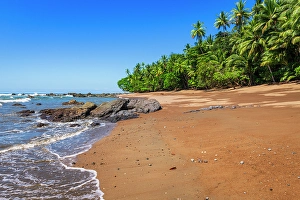 Prints of The beach at San Pedrillo, Corcovado National Park, Puntarenas Province, Costa Rica Images Dated 2024 October: The beach at San Pedrillo, Corcovado National Park, Puntarenas Province, Costa Rica