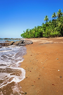 Prints of The beach at San Pedrillo, Corcovado National Park, Puntarenas Province, Costa Rica Images Dated 2024 October: The beach at San Pedrillo, Corcovado National Park, Puntarenas Province, Costa Rica