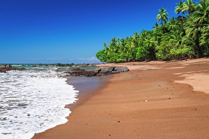 Prints of The beach at San Pedrillo, Corcovado National Park, Puntarenas Province, Costa Rica Images Dated 2024 October: The beach at San Pedrillo, Corcovado National Park, Puntarenas Province, Costa Rica