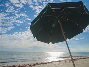 Shade Prints: Beach Umbrella, Sanibel Island, Florida, USA