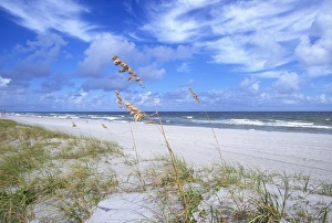 Images Dated 13th August 2012: Beaches Boca Raton, Florida, USA