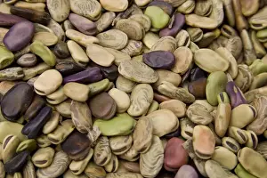 Cuzco Prints: Beans displayed in market, Cuzco, Peru, South America