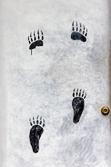 Lake Clark National Park And Pr Prints: Bear paws painted on doorway, Lake Clark National Park and Preserve, Alaska