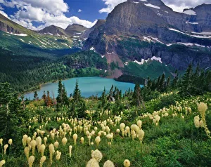 Glacial Lake Prints: Beargrass above