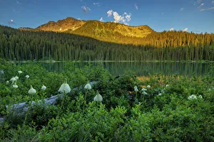 Images Dated 10th January 2023: Beargrass and Little Therriault Lake at sunrise in the Ten Lakes Scenic Area in the Kootenai National Forest
