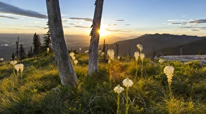 Flathead Valley Prints: Beargrass at sunset in the Swan Range looking down onto the Flathead Valley near Bigfork