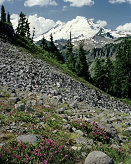 A Beautiful alpine day with Mount Baker towering above, cumulus clouds floating in the sky