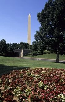 The beautiful color of the Washington Monument needle towards the sky with flowers