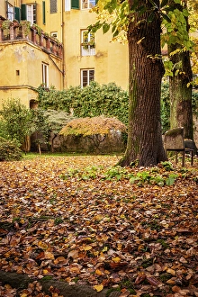 Images Dated 6th January 2024: Beautiful courtyard in Lucca, Italy in autumn