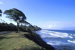 Retreat Prints: Beautiful native beach scene at Londonderry Bay Marigot in Dominica