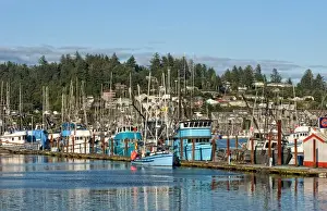 Ship Prints: Beautiful old working fishing boats in harbor at sunset in Newport Oregon on Oregon Coast