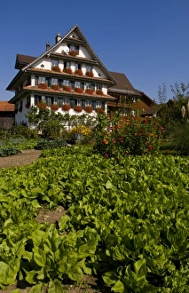 Images Dated 14th October 2020: Beautiful Swiss chalets with flowers near Interlaken, Switzerland