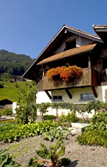 Chalet Prints: Beautiful Swiss chalets with flowers near Interlaken, Switzerland