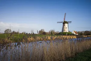 World Locations Prints: Belgium, Bruges-area, Damme, old wind mill