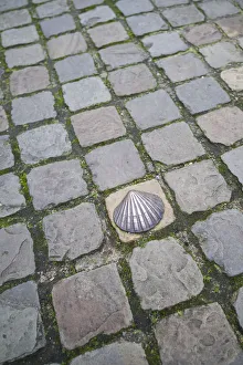 Belgium, Bruges, bronze seashell marking of the Camino de Santiago religious pilgrimage Belgium, Bruges, bronze seashell marking of the Camino de Santiago religious pilgrimage