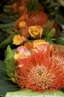 Images Dated 2nd April 2008: Belgium, Flanders, Antwerp Province, Antwerp, Antwerpen, flowers for sale