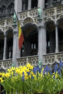 Brussels Prints: Belgium, Flanders, Brussels, flowers in Grand Place, Maison du Roi