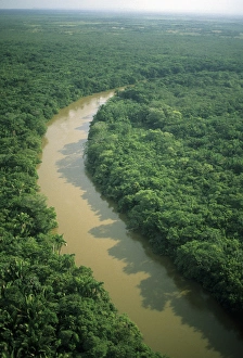 Kevin Schafer Prints: Belize, aerial of Belize River and lowland forest