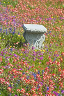 Bench in Grave Yard near Nixon Texas surrounded by wildflowers