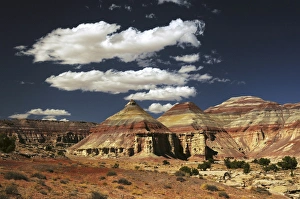 High Desert Prints: Bentonite Hills, Hanksville, Capitol Reef National Park, Utah, USA