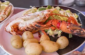 Images Dated 2028: Bergen Norway Bryggen great lobster and seafood plate dinner at outdoor cafe n BRYGGEN