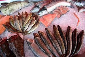 Bergens Fish Market M.R