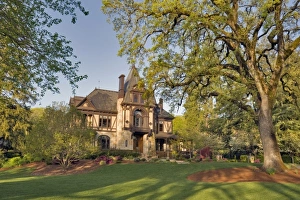 Napa County Prints: Beringer, Winery, St. Helena, Napa County, California, USA