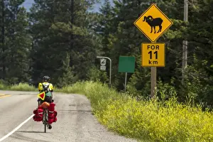 Bicycle Prints: Bicycle touring on the Adventure Cycling Glacier Waterton tour near Fernie