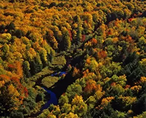 Images Dated 29th July 2010: The Big Carp River in autumn at Porcupine Mountains State Park, Michigan, USA