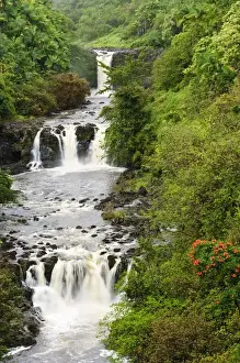 Images Dated 18th March 2008: Big Island, Hawaii. Umauma Falls World Botanical Garden Hilo The Big Island Hawaii